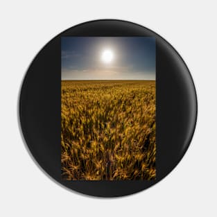 Wheat field at sunset, sun in the frame Pin