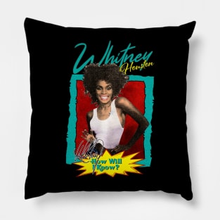 Retro Whitney Pillow