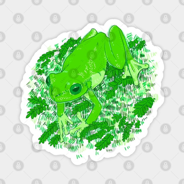 Green Frog Magnet by Drawing Alba