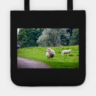 Sheep Tote