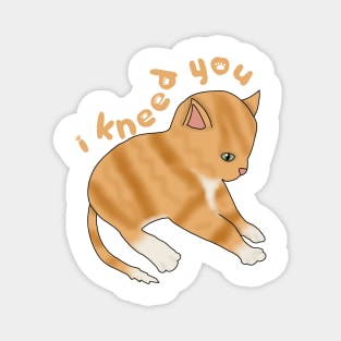 I Kneed you (fluffy orange cat) Magnet