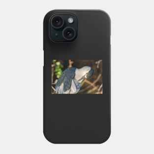 Preening Heron Phone Case