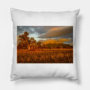 Sunset at Bluff Knoll 4 Pillow