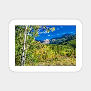 Looking Back On Independence Pass Magnet