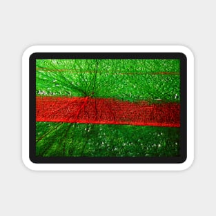 Red Road, aerial landscape photograph Magnet