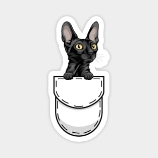 Funny Cornish Rex Pocket Cat Magnet