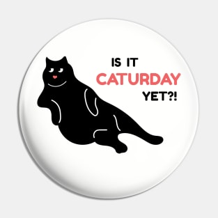 Is it Caturday Yet? Pin