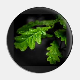 Raindrops On Oak Leaves Pin