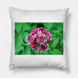 Nature's Flower Bouquet Pillow