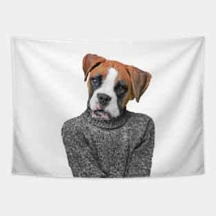 Shy Boxer Tapestry