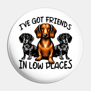 Dachshund I've Got Friends In Low Places Wiener Dog Pin