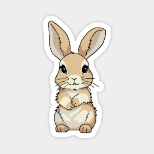 Cute shy light brown bunny Magnet