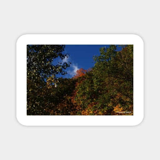 Blue Sky, Clouds and Fall Magnet by srosu