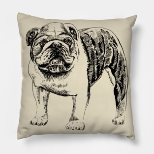 english bulldog Pillow