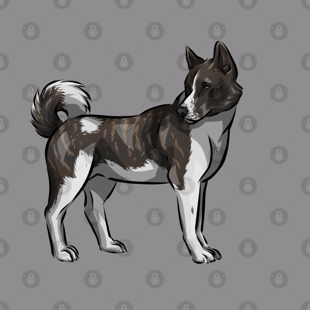 American Akita Dog Cartoon | Brindle by Shirin Illustration