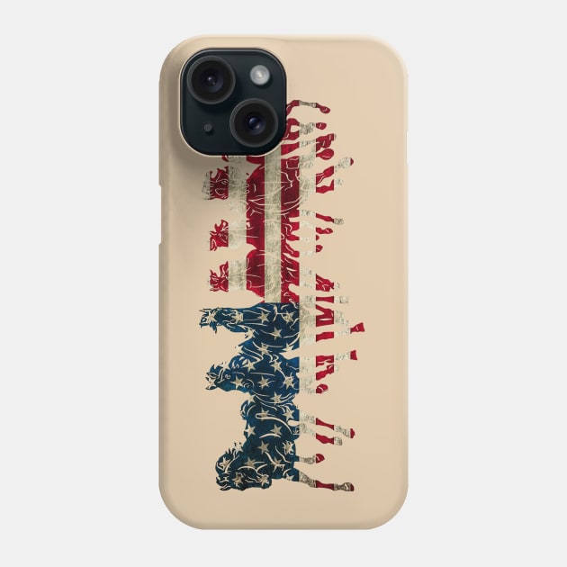 American Pride Phone Case by RedRock_Photo