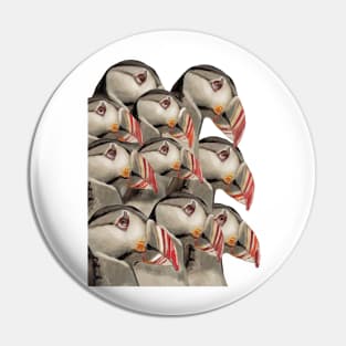 Puffins 3 Pin