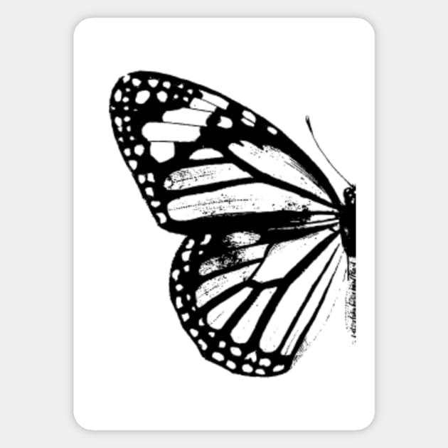 Monarch Butterfly Left Wing Vintage Butterflies Butterfly