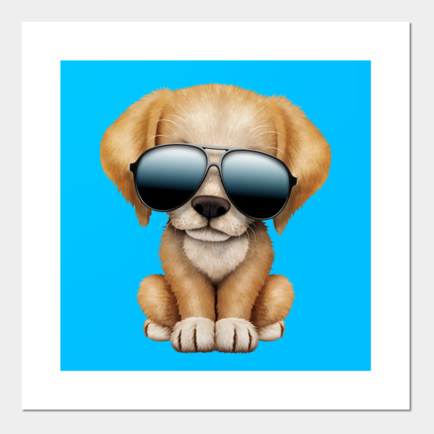 dog wearing sunglasses