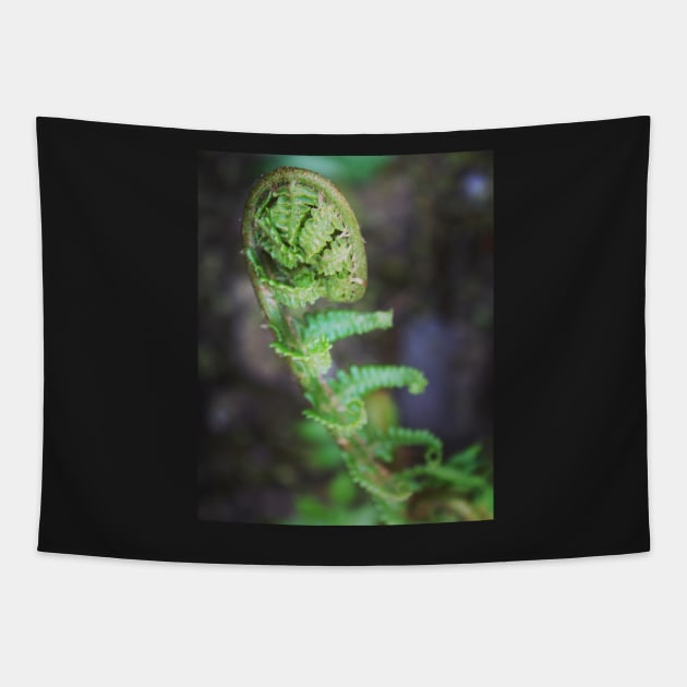 Fern fronds Tapestry by Jonesyinc