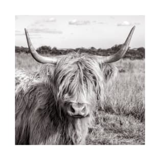 Highland Cow T-Shirt