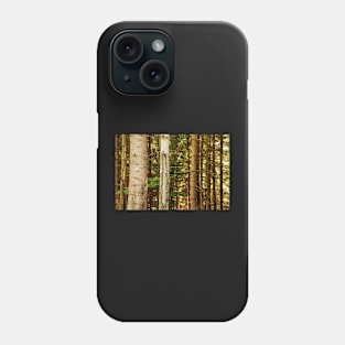 Pine Tree Trunks Phone Case