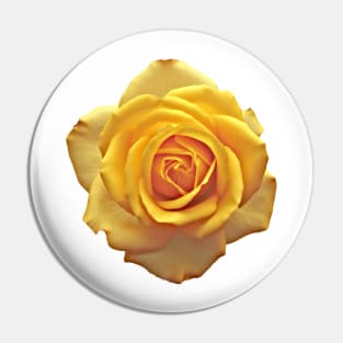 Yellow Rose Flower Pin