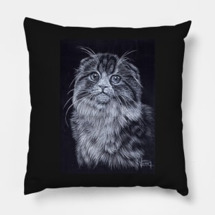 Scottish Fold Cat Pillow