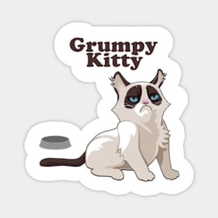 grumpy cat Magnet