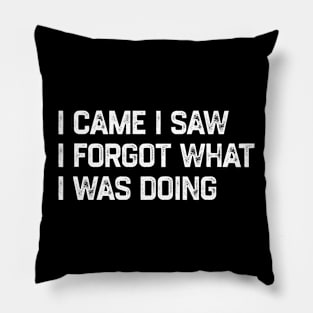 I Came I Saw I Forgot What I Was Doing Pillow