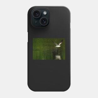 Oiseau au dessus de l'eau Phone Case