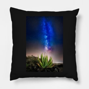 Aloe Vera Plant with Milky Way Pillow