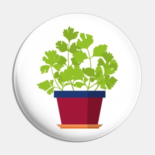 Groovy little coriander plant Pin