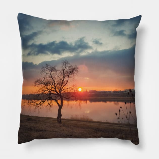 February sunset scene Pillow by psychoshadow