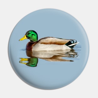 Mallard Reflections Pin