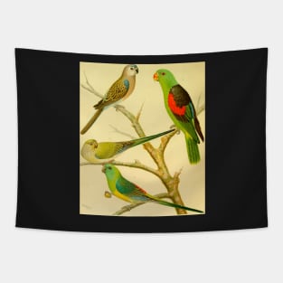 1878 naturalist image of Australian parakeets Tapestry