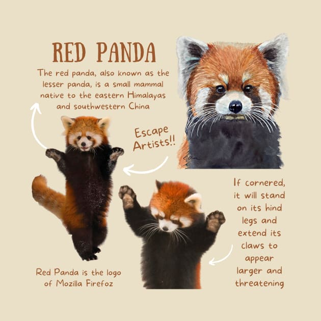 Animal Facts - Red Panda by Animal Facts and Trivias