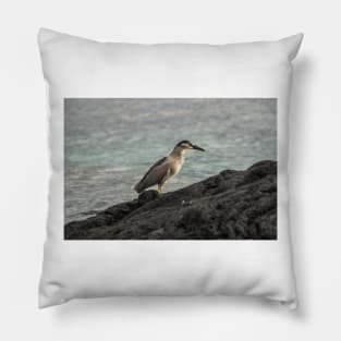 Black-crowned night heron of hawaii 7 Pillow