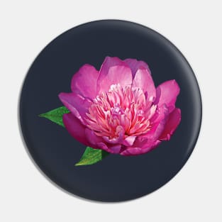 Peonies - Pink Peony Pin