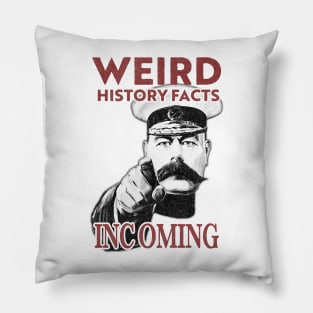 Weird History Facts Incoming Pillow
