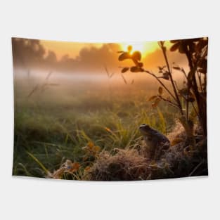 Sunrise over a green meadow fog rises in the summer and frog sitting on the front Tapestry