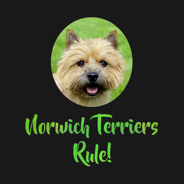 Norwich Terriers Rule! by Naves