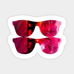 Stocksom Through Rose Coloured Glasses Magnet