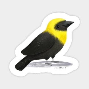 Yellow Hooded BlackBird Magnet