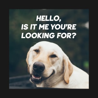 Hello Dog T-Shirt