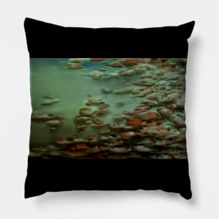 Green Shore Pillow