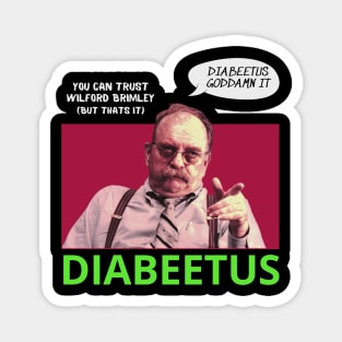 Diabeetus  Wilford Brimley Retro Look Fan Art Design Magnet