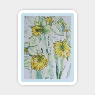 Daffodils watercolour painting Magnet