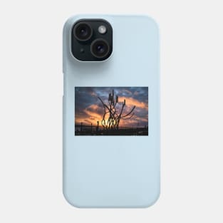 The Spirit of the Staithes at sunrise Phone Case