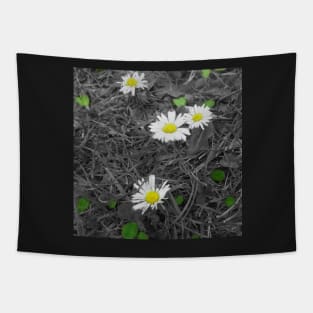 Daisies Tapestry